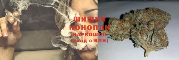 PSILOCYBIN Алексин