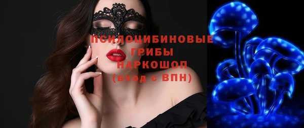 соль ск Алзамай