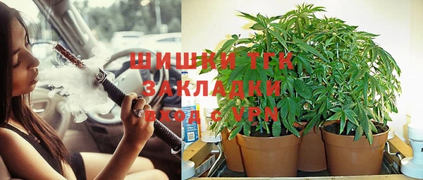 соль ск Алзамай