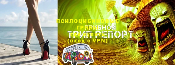 соль ск Алзамай