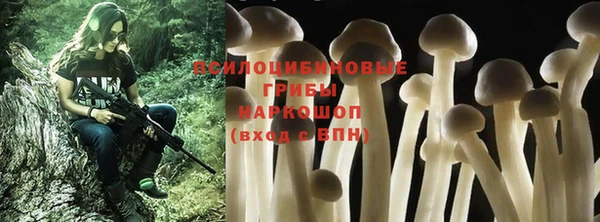 бошки Алексеевка