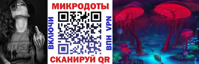 Галлюциногенные грибы Psilocybine cubensis  Купить где  Удачный 